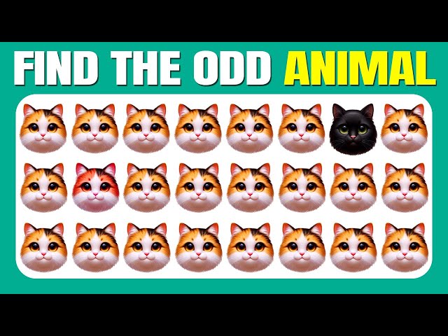 Find the ODD One Out - Animals Edition 🐱🐵🐶 30 Ultimate Easy, Medium, Hard Levels Quiz