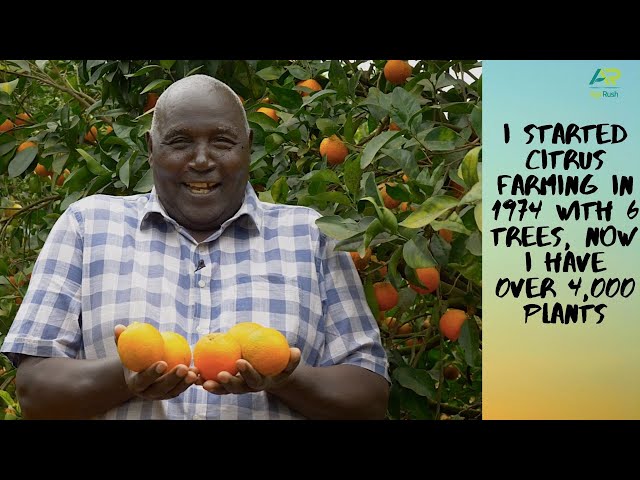 I chose citrus farming to sustain my family & I am confident that it will sustain their generations.