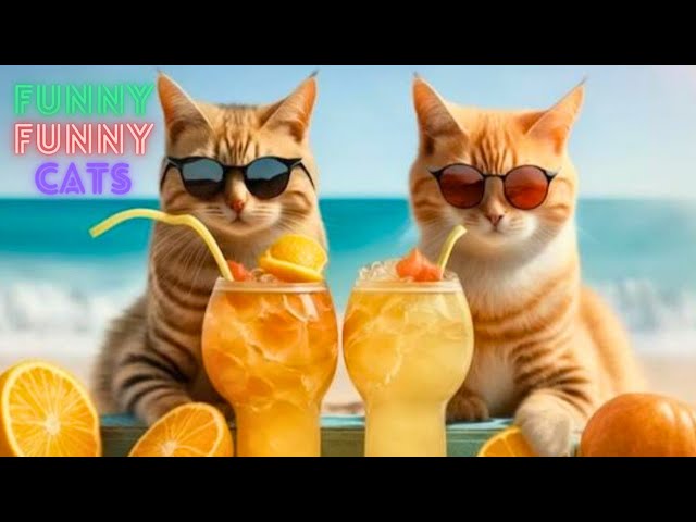 Funny Cat Video Compilation 😹 World's Funniest Cat Videos 😂Funny Cat Videos Try Not To Laugh😺Part 59
