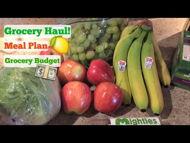 Grocery Haul | My Meal Plan and Grocery Budget! | March 3, 2017