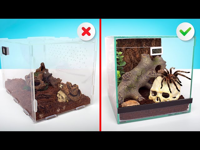 2 Perfect Homes For Your Pet Spider || Assembling A Tarantula Terrarium