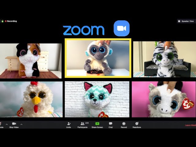 Beanie Boos: The Zoom Call (Skit)