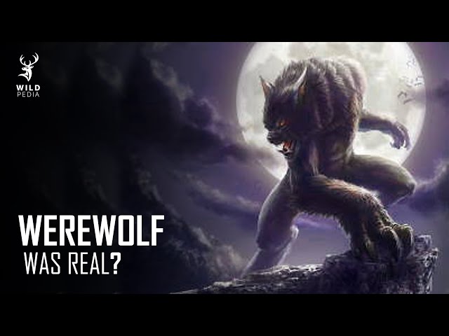 What if WEREWOLF Was Real?!?