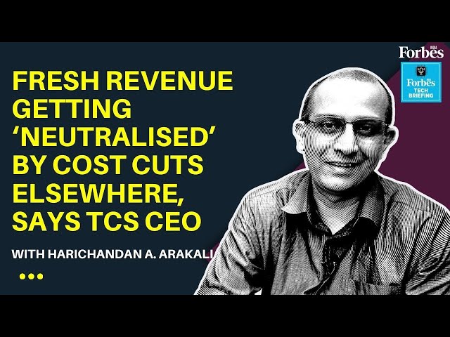TCS CEO Krithivasan says fresh revenue getting ‘neutralised’ by cost cuts elsewhere