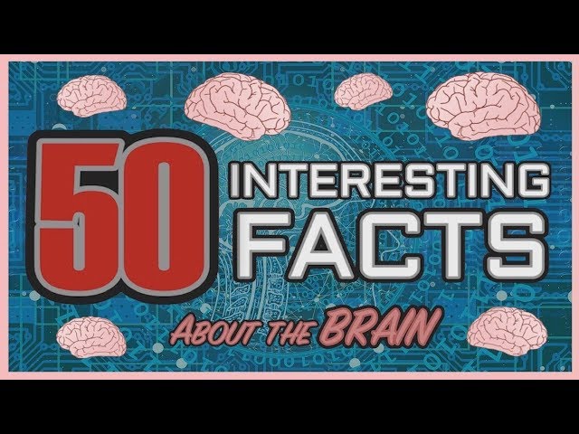 50 Interesting Facts about the Human Brain