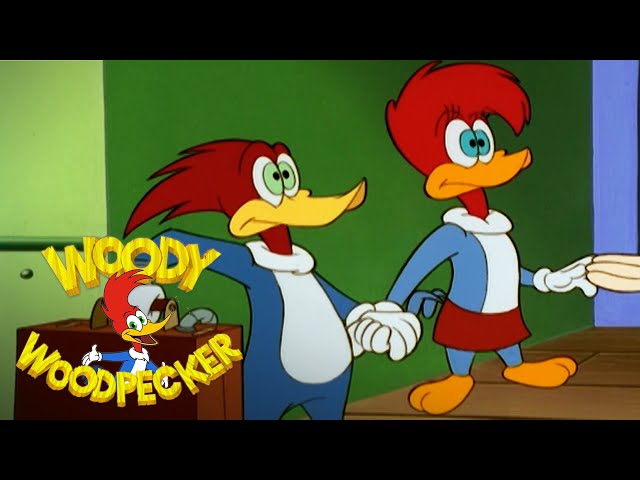 Winnie Comes to Woody's Rescue | Woody Woodpecker