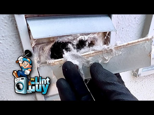 Dryer Vent Cleaning Episode 1 ( Dog Fur)