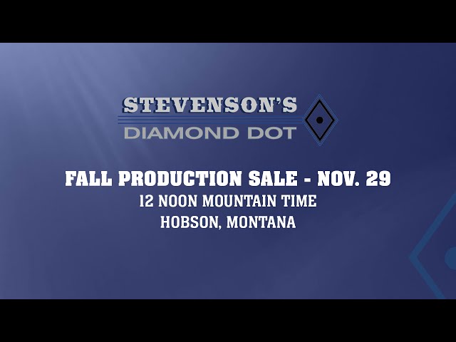Stevenson Diamond Dot 61st Annual Production Sale Preview