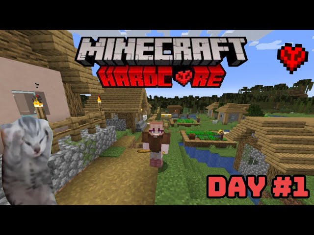 Survive 100 days in Minecraft hardcore I Day 1 I ⛏️