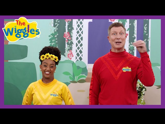 Five Little Ducks 🦆 Counting Nursery Rhyme for Toddlers 🎶 The Wiggles