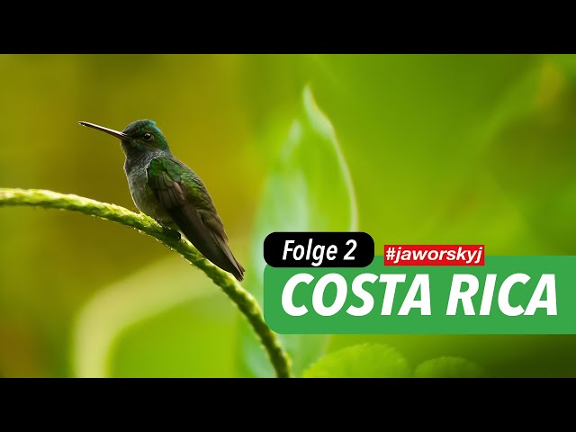 Costa Rica - Folge 2 📷 Im Regenwald fotografieren | Jaworskyj