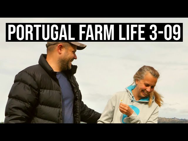 Getting PAID for Owning Agricultural FARM land in Portugal |PORTUGAL FARM LIFE S3-E09 ❤