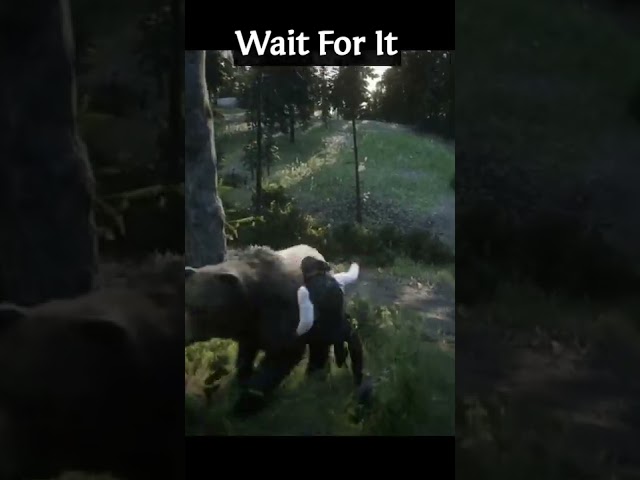 Look where you are going - RDR2