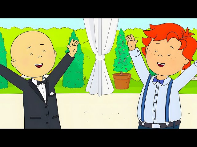 CAILLOU GOES TO A WEDDING! 💒 ❤️ | CAILLOU | WildBrain Kids
