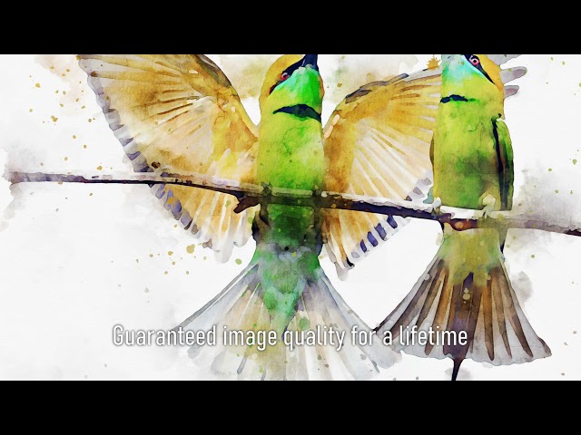 Premium Handmade Art Print "Green Bee-eater Couple in Watercolors" by Dreamframer Art