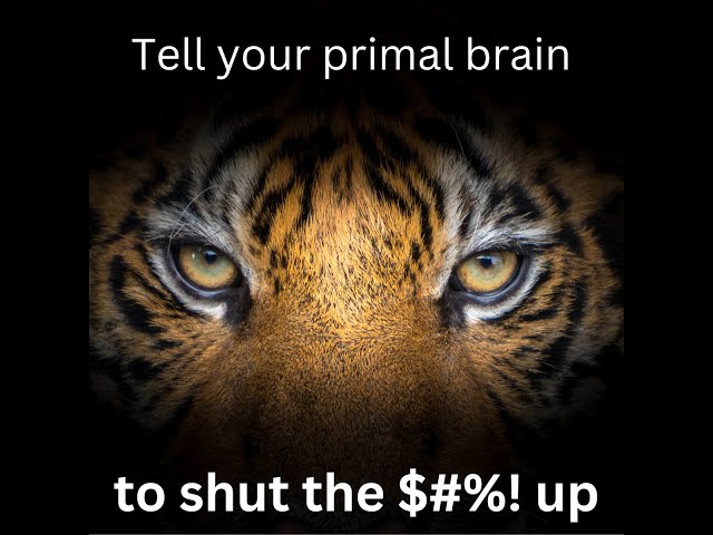Day 10 - Tell Your Primal Brain to Shut the #&@! up