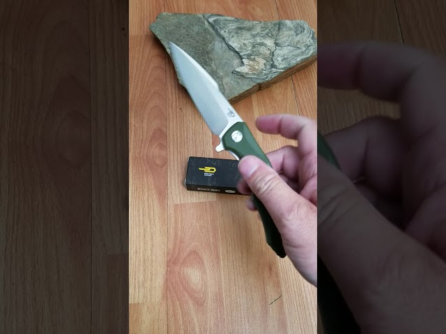 BESTECH WARWOLF G10 LINERLOCK OD GREEN D2 TOOL STEEL FOLDING BLADE KNIFE G04B