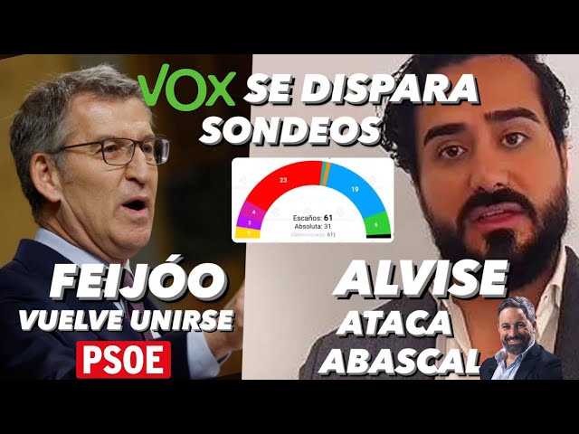¡VOX SE DISPARA EN SONDEOS, ALVISE ATACA A ABASCAL Y A VOX Y FEIJÓO VUELVE A UNIRSE AL PSOE!