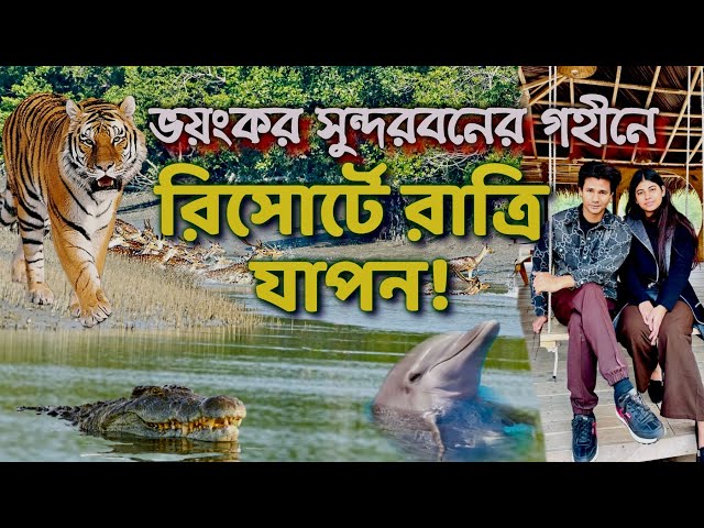 ভয়ংকর সুন্দরবনের গহীনে রিসোর্টে রাত্রি যাপন Sundarban Tour,  Bonbibi Resort সুন্দরবন ভ্রমণ অভিজ্ঞতা