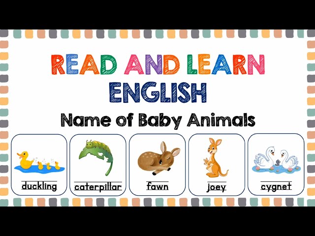 Names of Baby Animals | Reading for Grade 1, Grade 2, and Grade 3 | English Words for Kids