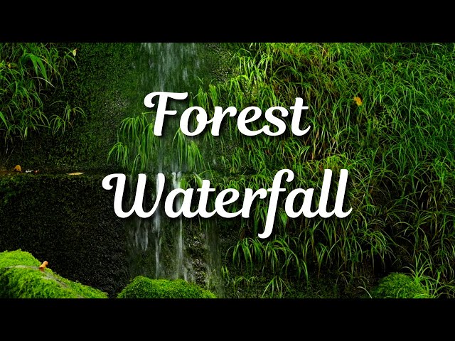 Healing Water Sounds - 3 Hours of Nature Just For You