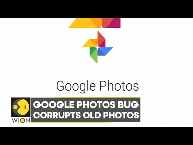 Google photos bug corrupting old photos, affects both Android and iOS users | Latest News | WION