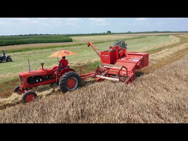 Blackmore Corner Antique Farm Show 2023 Chopping, Cutting, Plowing, and more