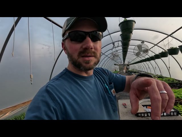 Progress, In And On The Greenhouses