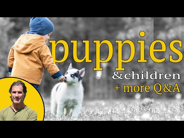 Best Puppy Advice 4-26-21 - How to Train Your Puppy