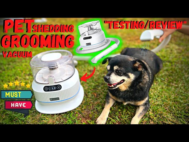 Pet Shedding/Grooming Vacuum Amazon - Review