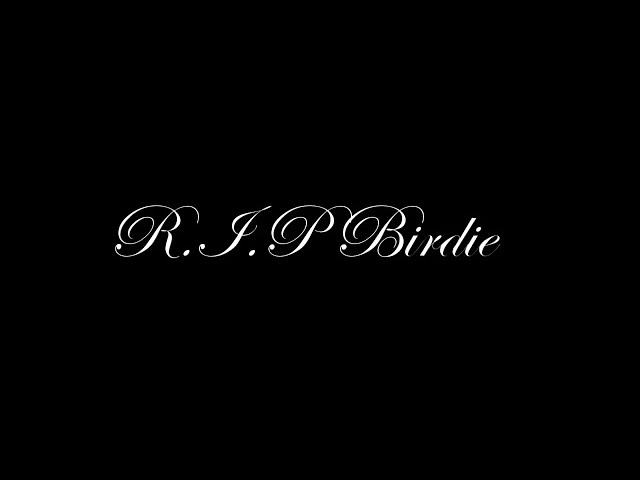 RIP Birdie.