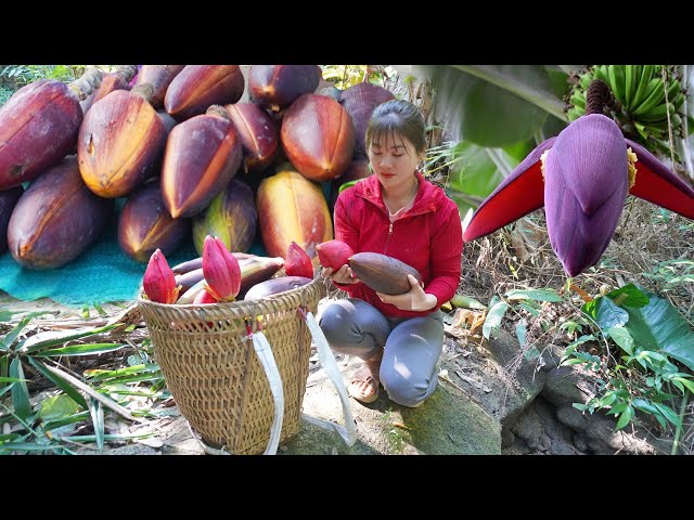 Harvesting Wild Banana Flower And Vegetable Goes to countryside market sell - My Bushcraft