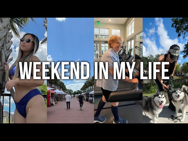 weekend in my life: new bikini, new pomsky friends, famers market, mom tries treadmill + ice cream!
