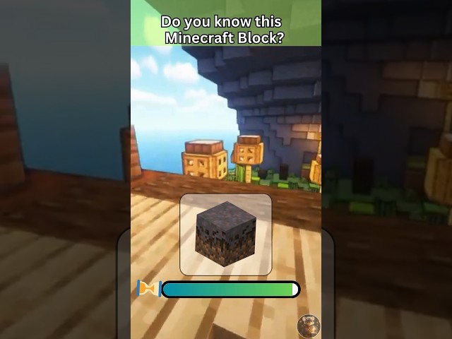Guess The Minecraft Block | ⛏️⚒️ EXPERT EDITION!
