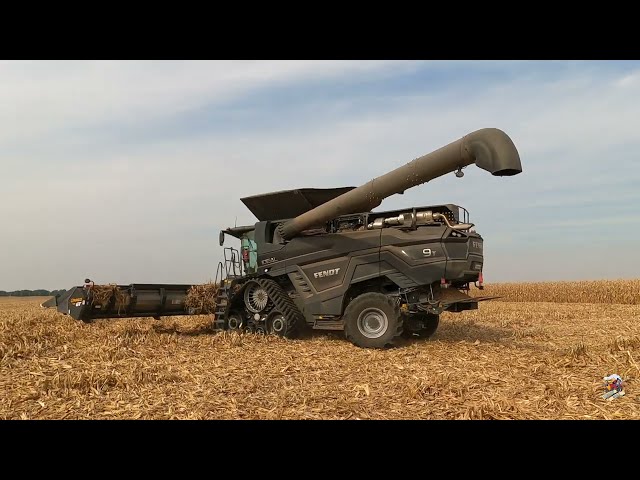 Illinois Corn & Soybean Harvest with Fendt Ideal Combines