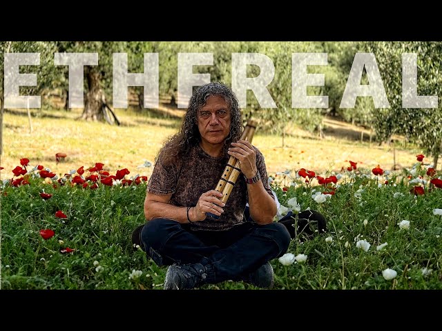 Native American Flute Meditation - Healing in Nature with Birdsong