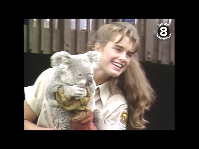 Brooke Shields takes summer internship at the San Diego Zoo in 1983