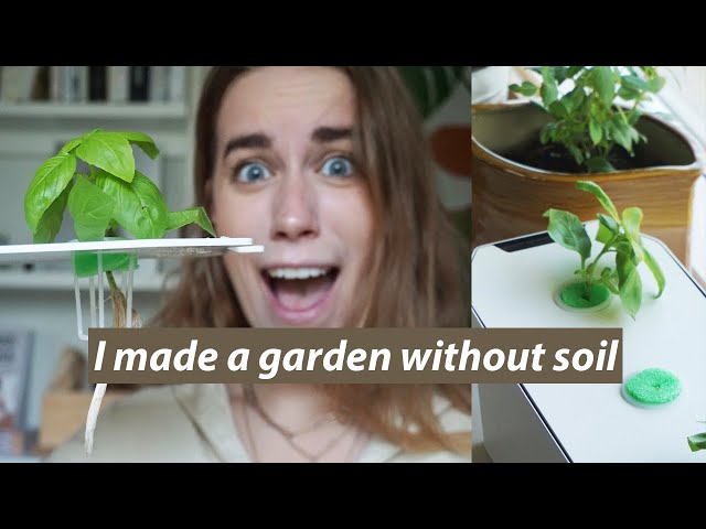 trying hydroponics for the first time // I started an indoor herb garden