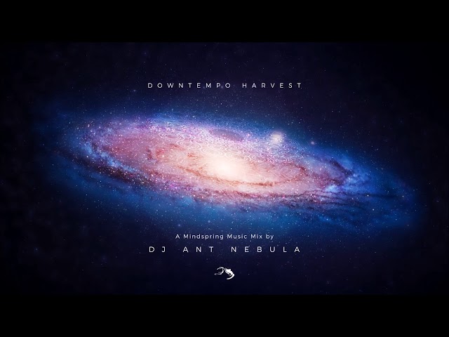 Downtempo Harvest: Mindspring Music Mix by DJ Ant Nebula