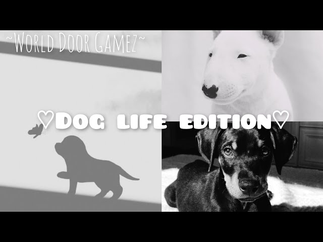 PAUSE GAME ~ DOG LIFE EDITION