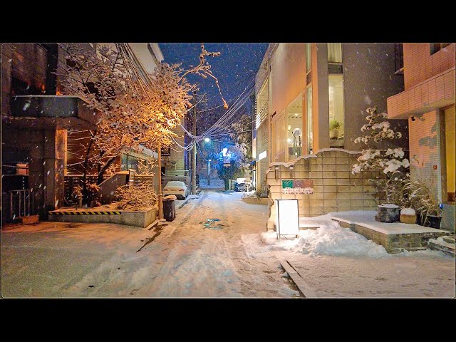 [4K] Snowy Apgujeong Streets 7km Night Exploring Seoul 서울 눈오는 압구정 골목길과 도산공원 밤산책