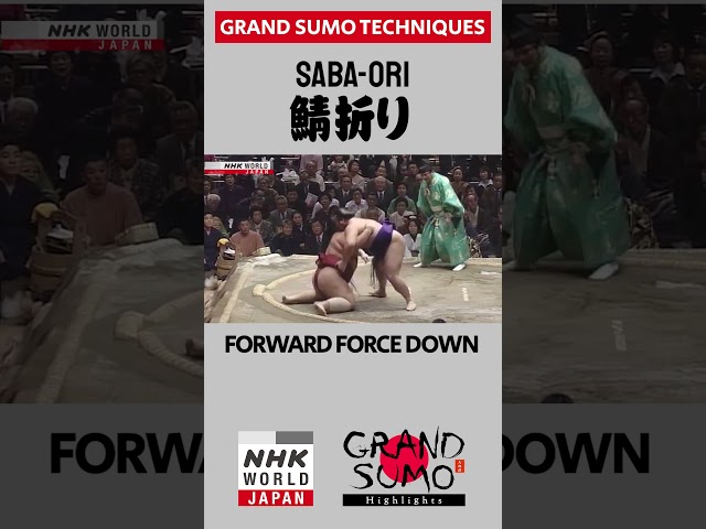 #Sumo Technique: SABA-ORI