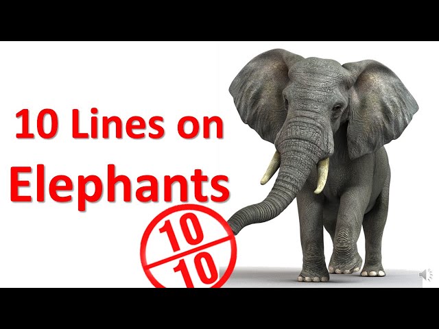 10 lines essay on an elephant for kids in English. Smart and easy learning. Online classes for kids