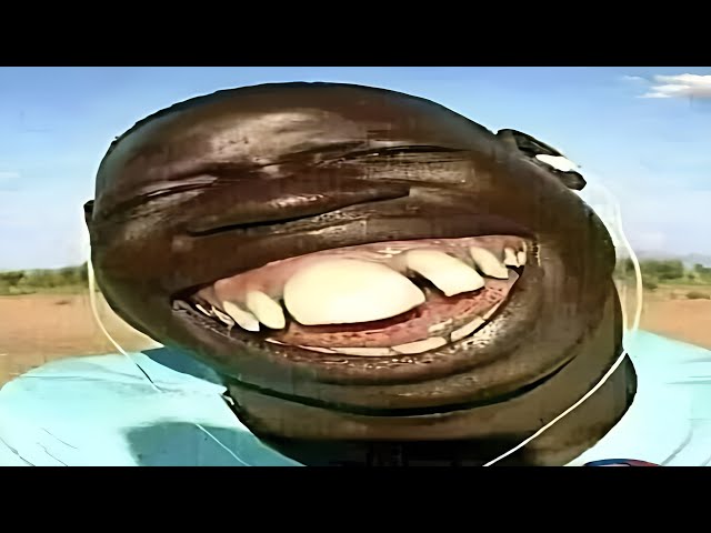 Funny Videos And Memes Compilation 😂 / Try Not To Laugh Part 148