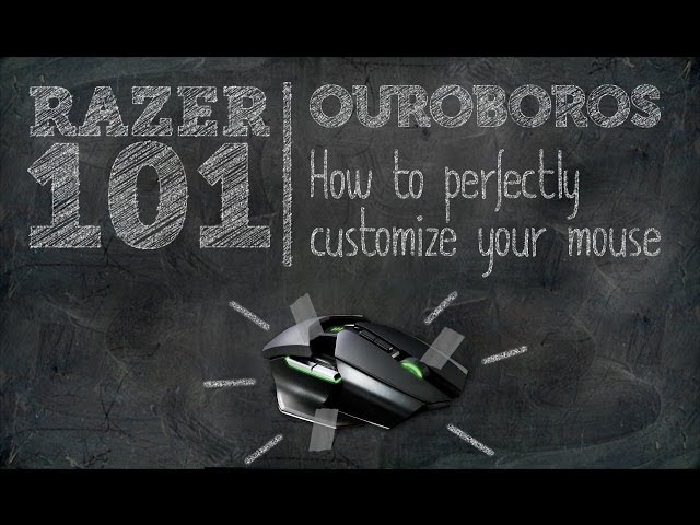 How to Perfectly Customize Your Ouroboros | Razer 101