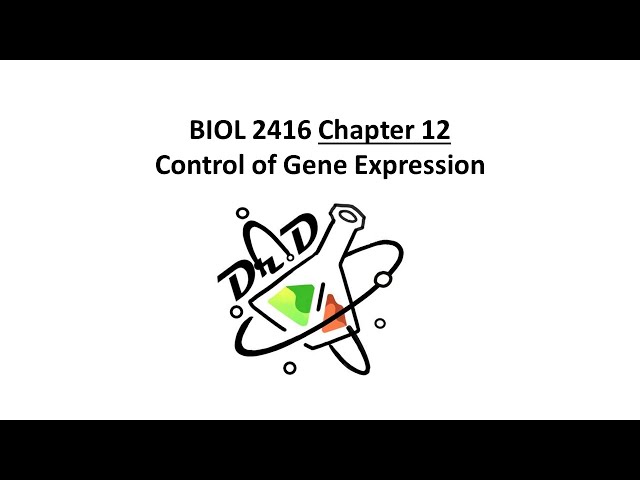 BIOL2416 Chapter12 - Control of Gene Expression