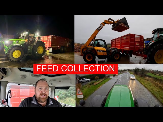 CATTLE FEED COLLECTION