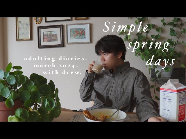 living alone vlog: cherry blossoms, bday gift unboxing, antique shopping, book review