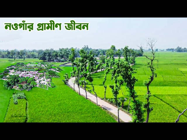 নওগাঁর মহাদেবপুরে বৈচিত্র্যে ভরা ভালাইন গ্রাম || Panorama Documentary