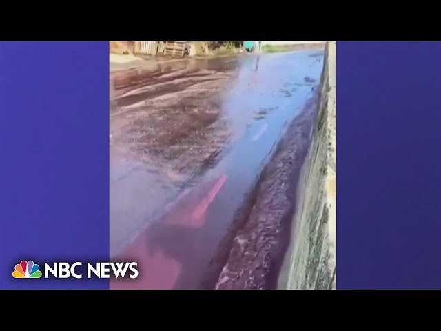 Portuguese distillery spills over 500,000 gallons of wine onto streets